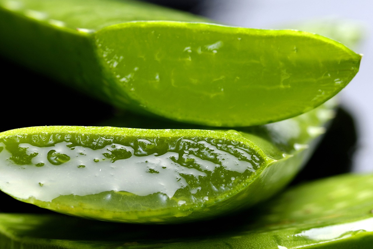 알로에베라추출물 (Aloe Vera Extract)