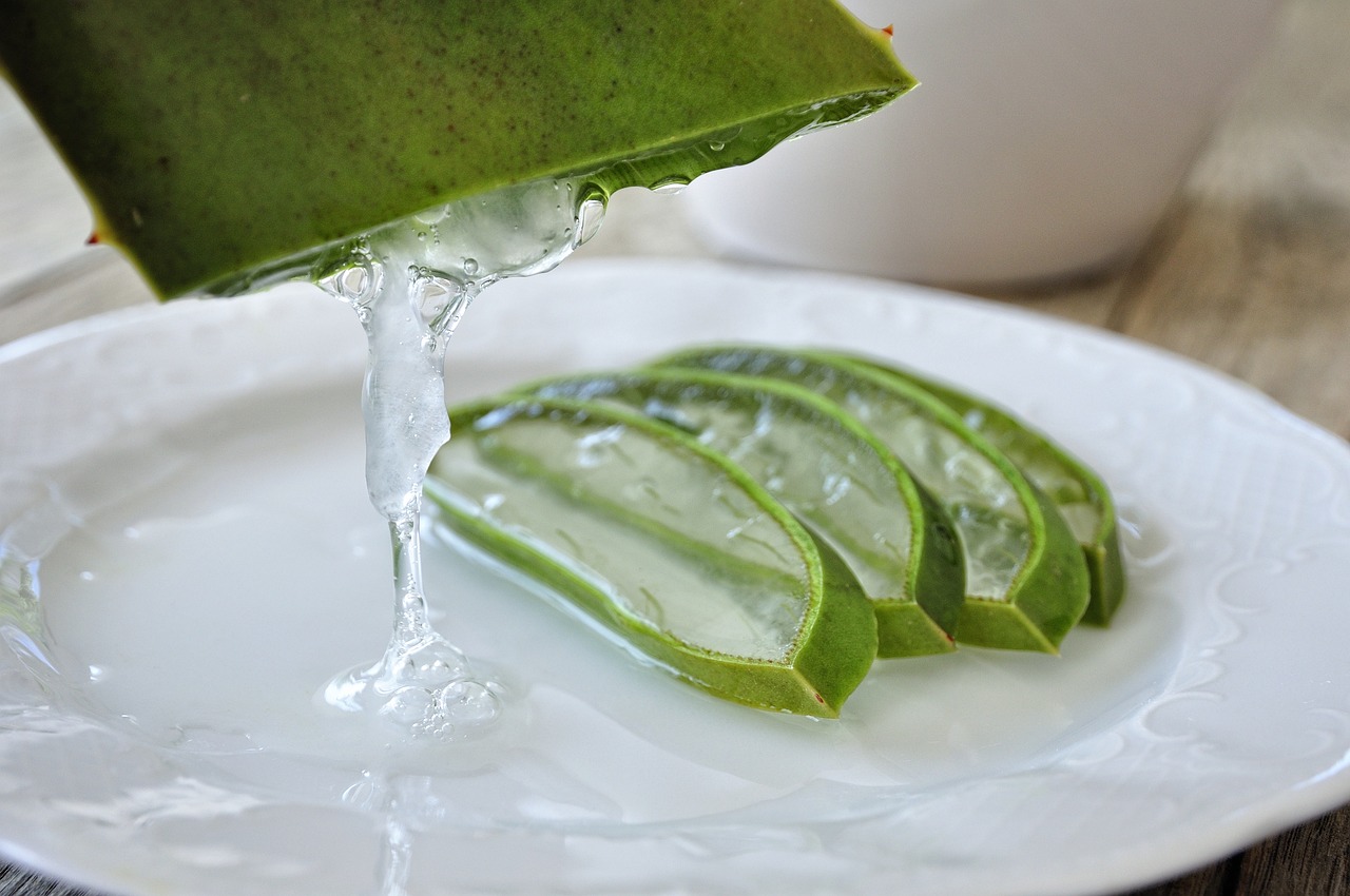 알로에베라추출물 (Aloe Vera Extract)